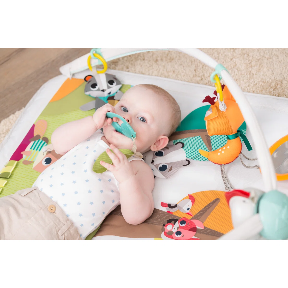 31'' L with Hanging Toys - Image 2