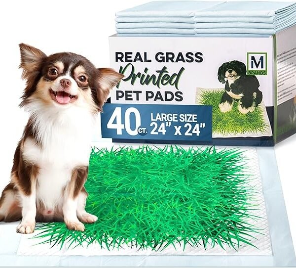 Big Dawg Pet Supplies Real Grass